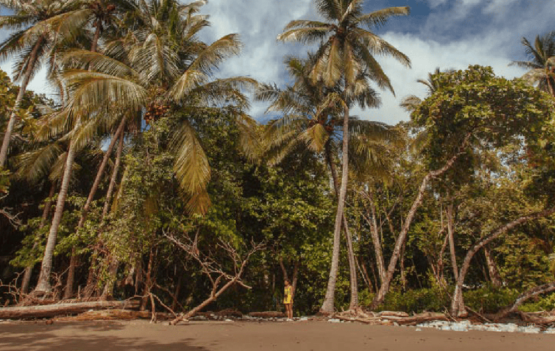 Corcovado by Land