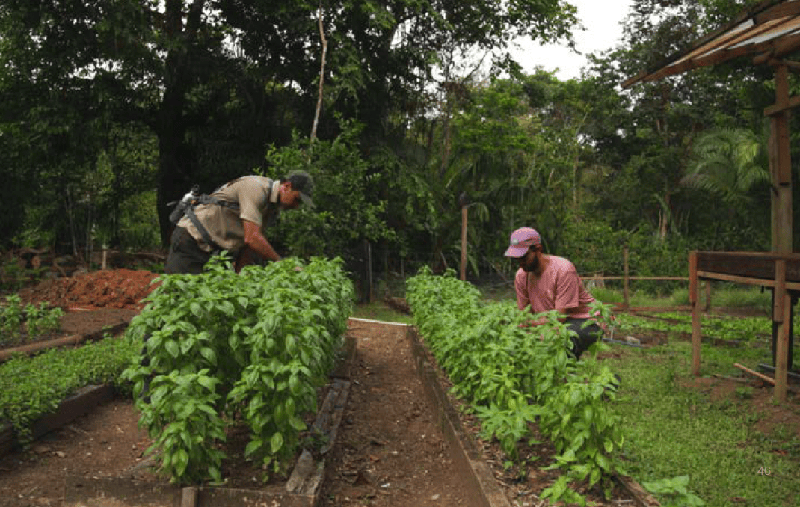 Sustainability in Action at Lapa Rios Lodge