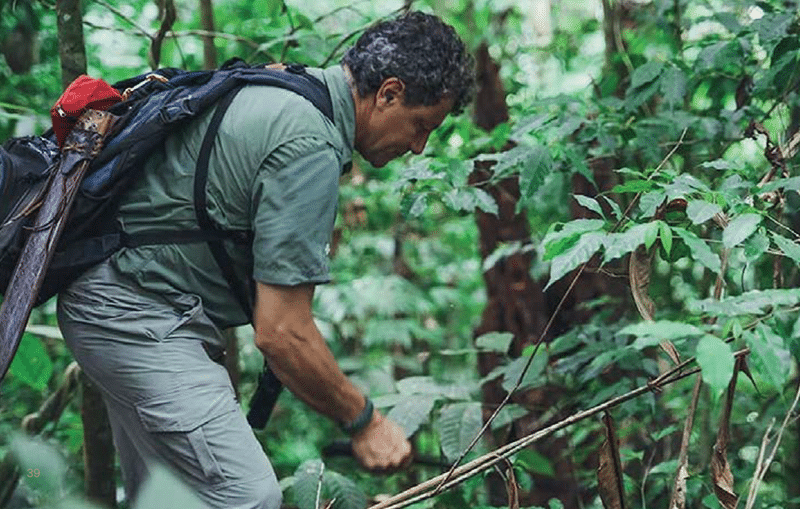 Plants of Osa experience