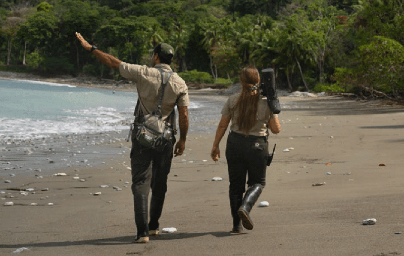 Matapalo Walk at Lapa Rios Lodge