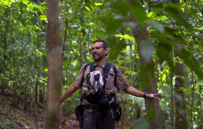 Rainforest Ridge Hike at Lapa Rios Lodge