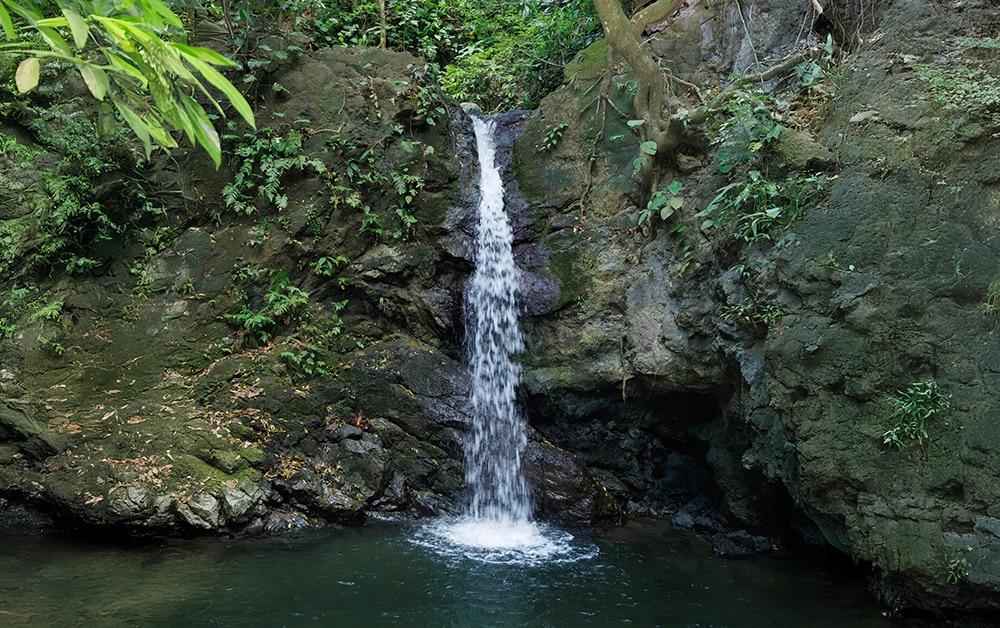 Wild Waterfalls at Lapa Rios Lodge